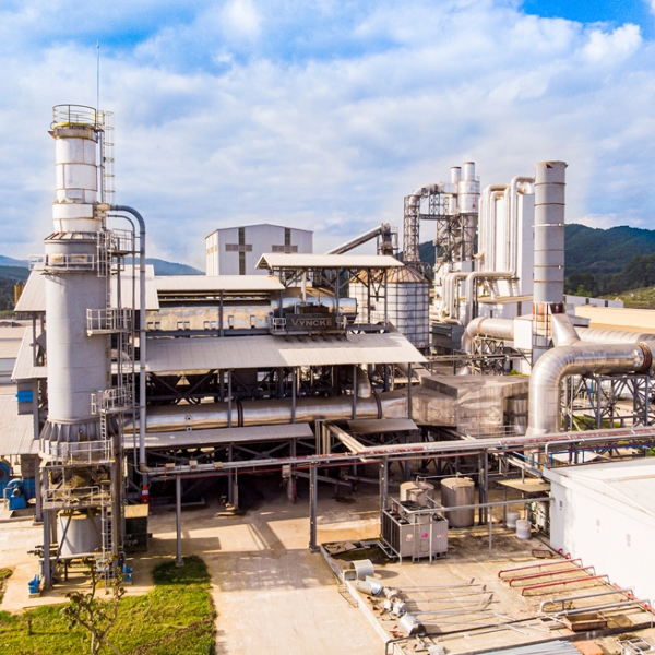 Thành lập và định hướng phát triển