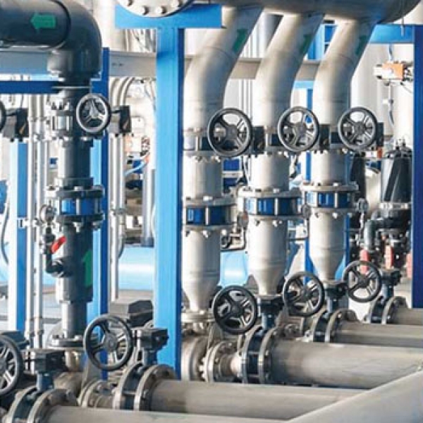 Mở rộng thị trường và hợp tác chiến lược